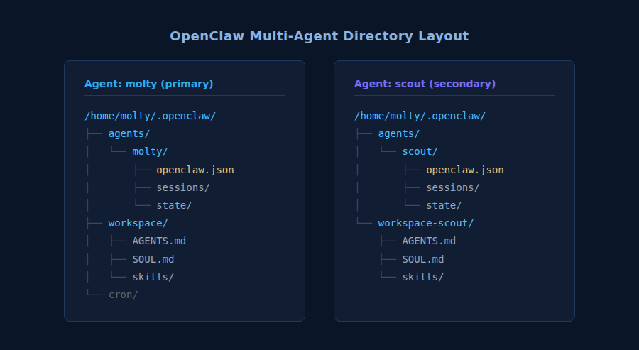 File tree showing two OpenClaw agent directories with separate workspace and agentDir paths